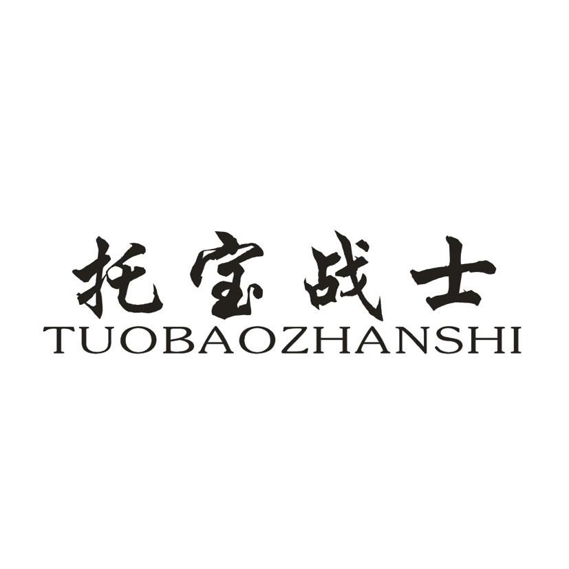 托宝战士