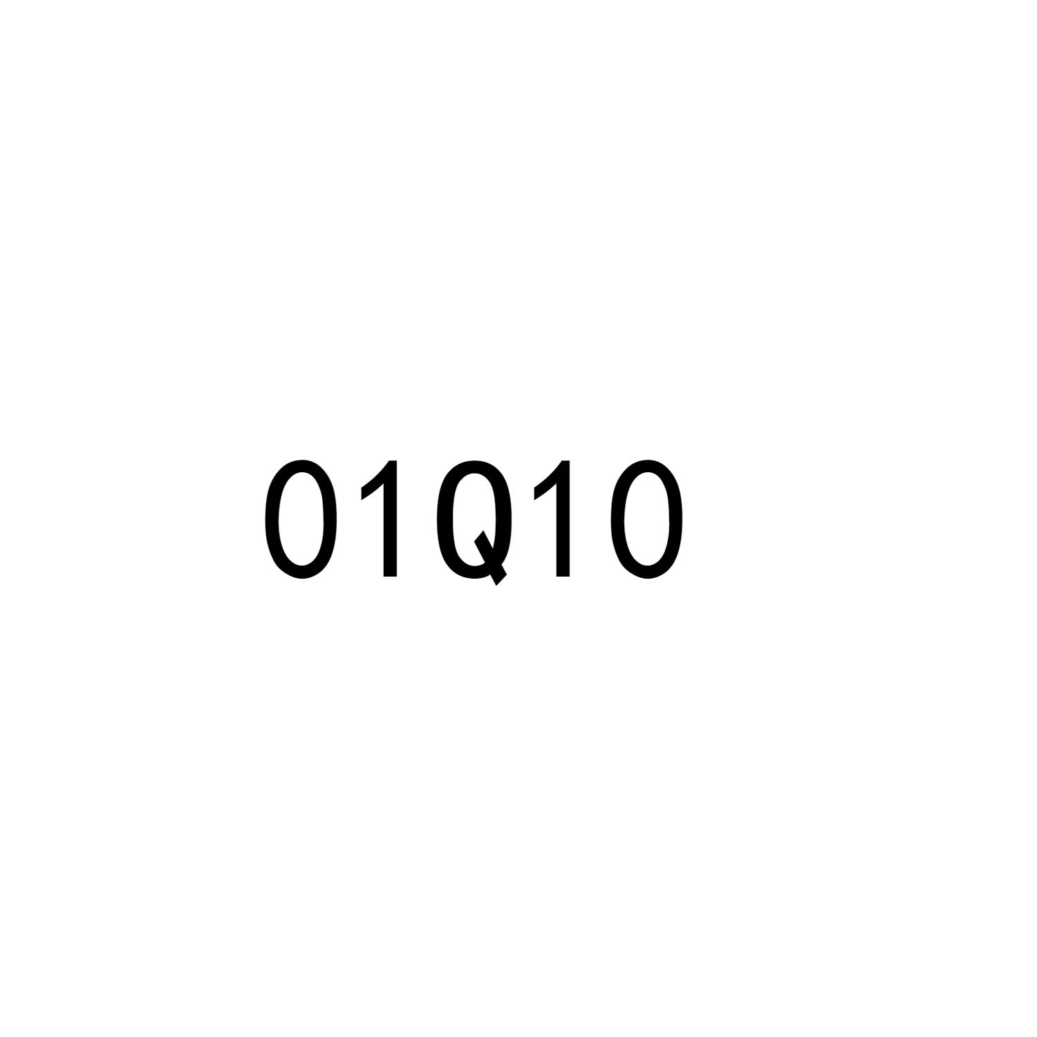 01Q10