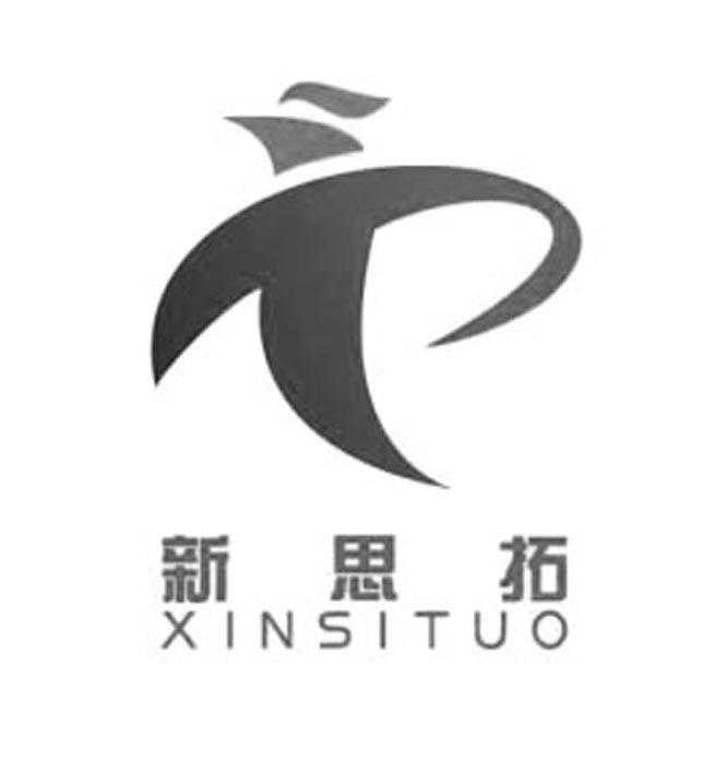 新思拓
