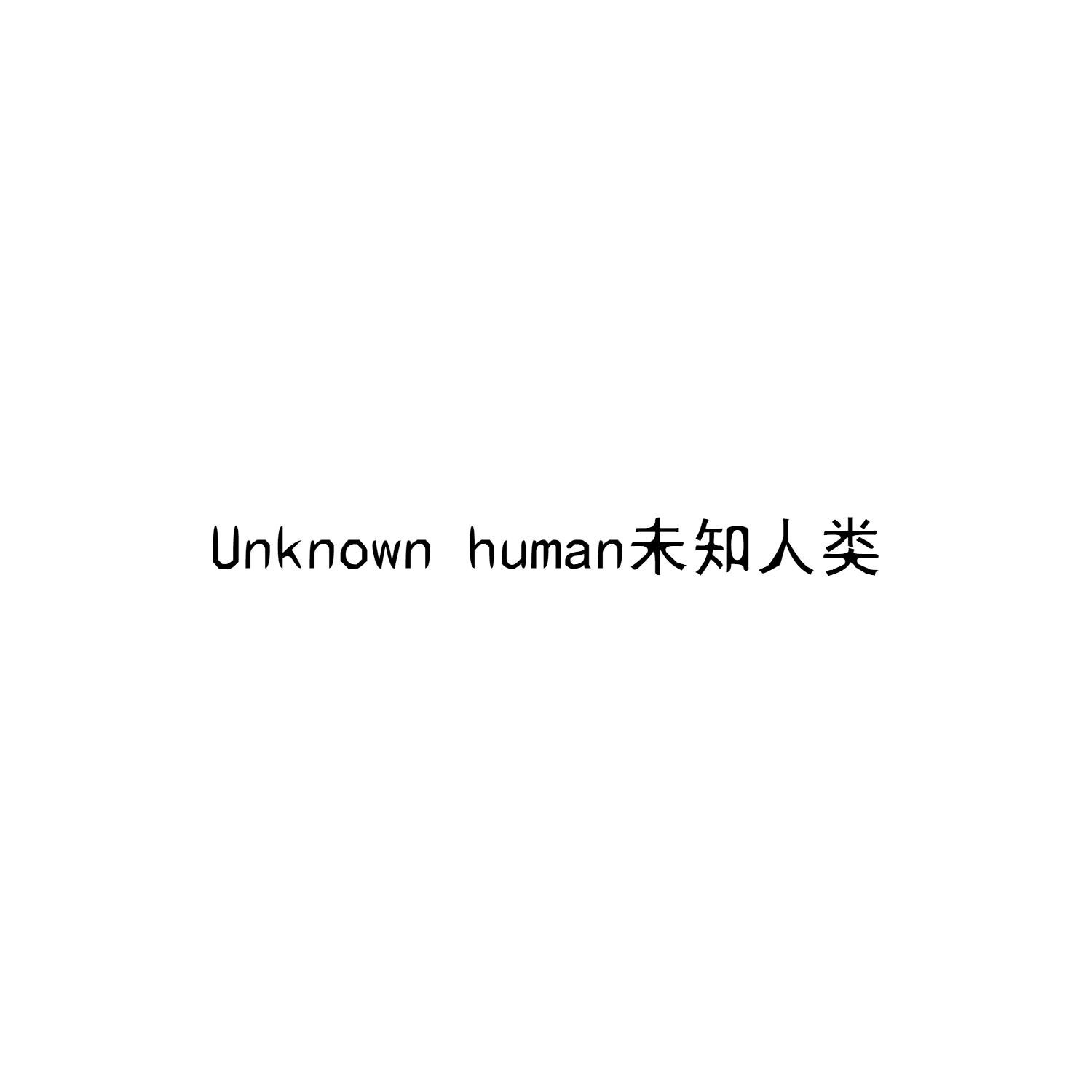 UNKNOWN HUMAN 未知人类