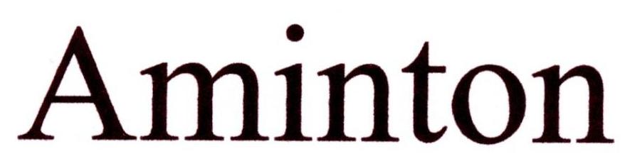AMINTON