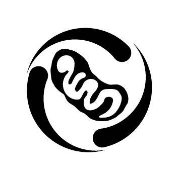 图形