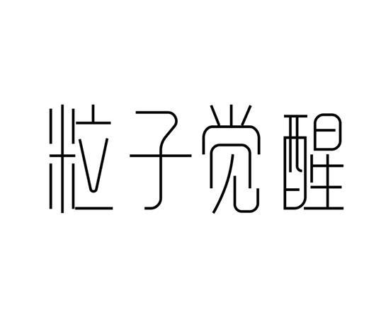 粒子觉醒
