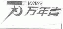 万年青;WNQ
