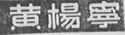 黄杨宁