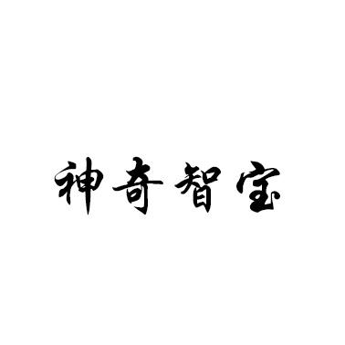 神奇智宝