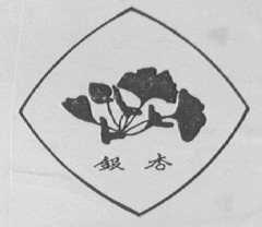 银杏