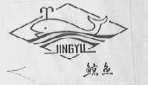 鲸鱼