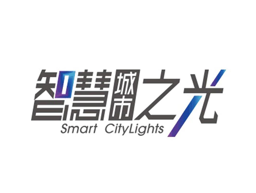 智慧城市之光 SMART CITYLIGHTS