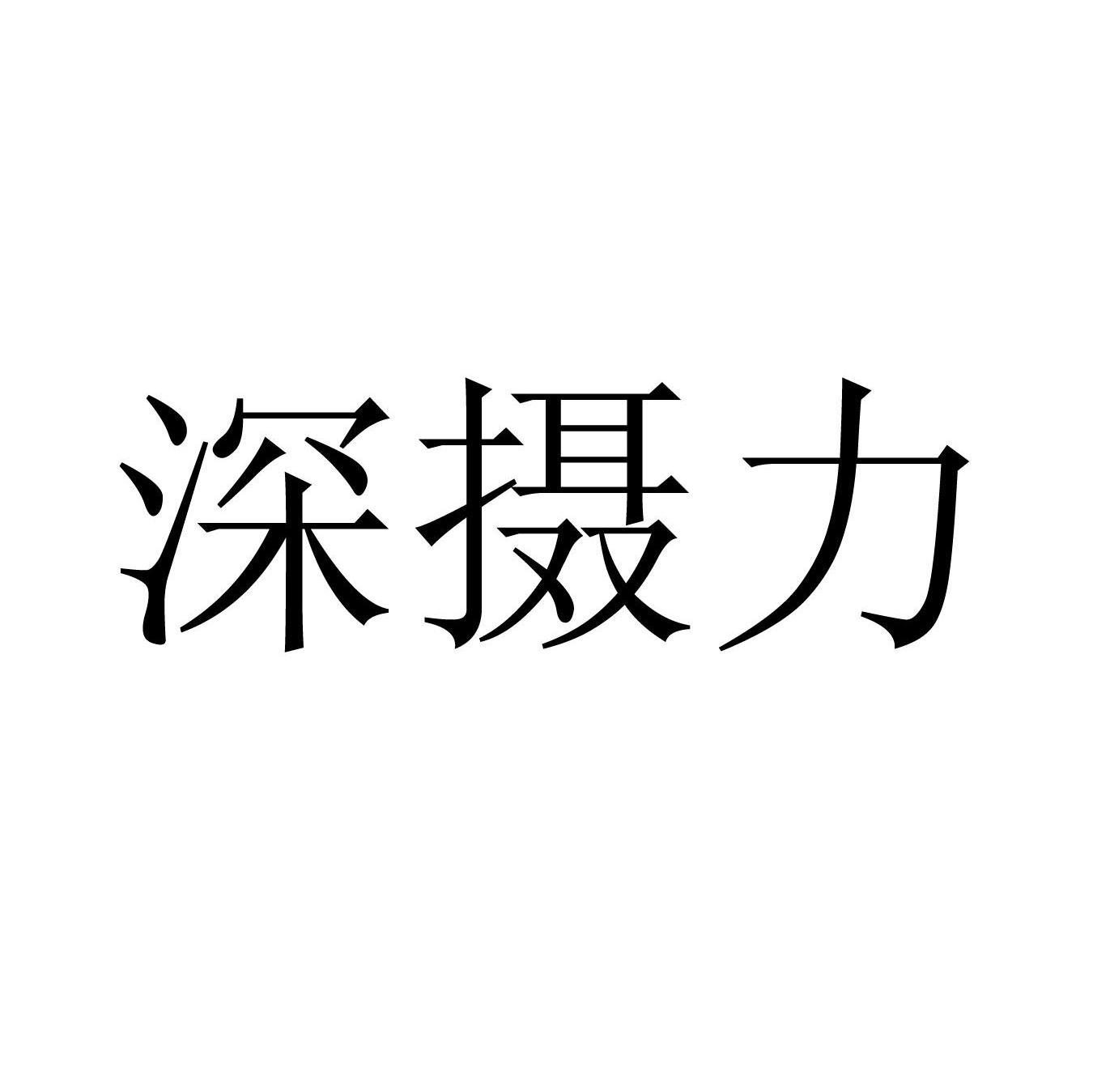 深摄力