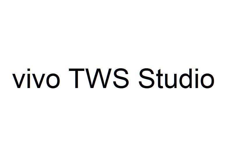 VIVO TWS STUDIO