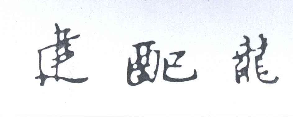 建配龙