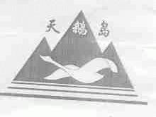 天鹅岛