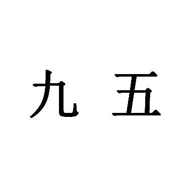 九五