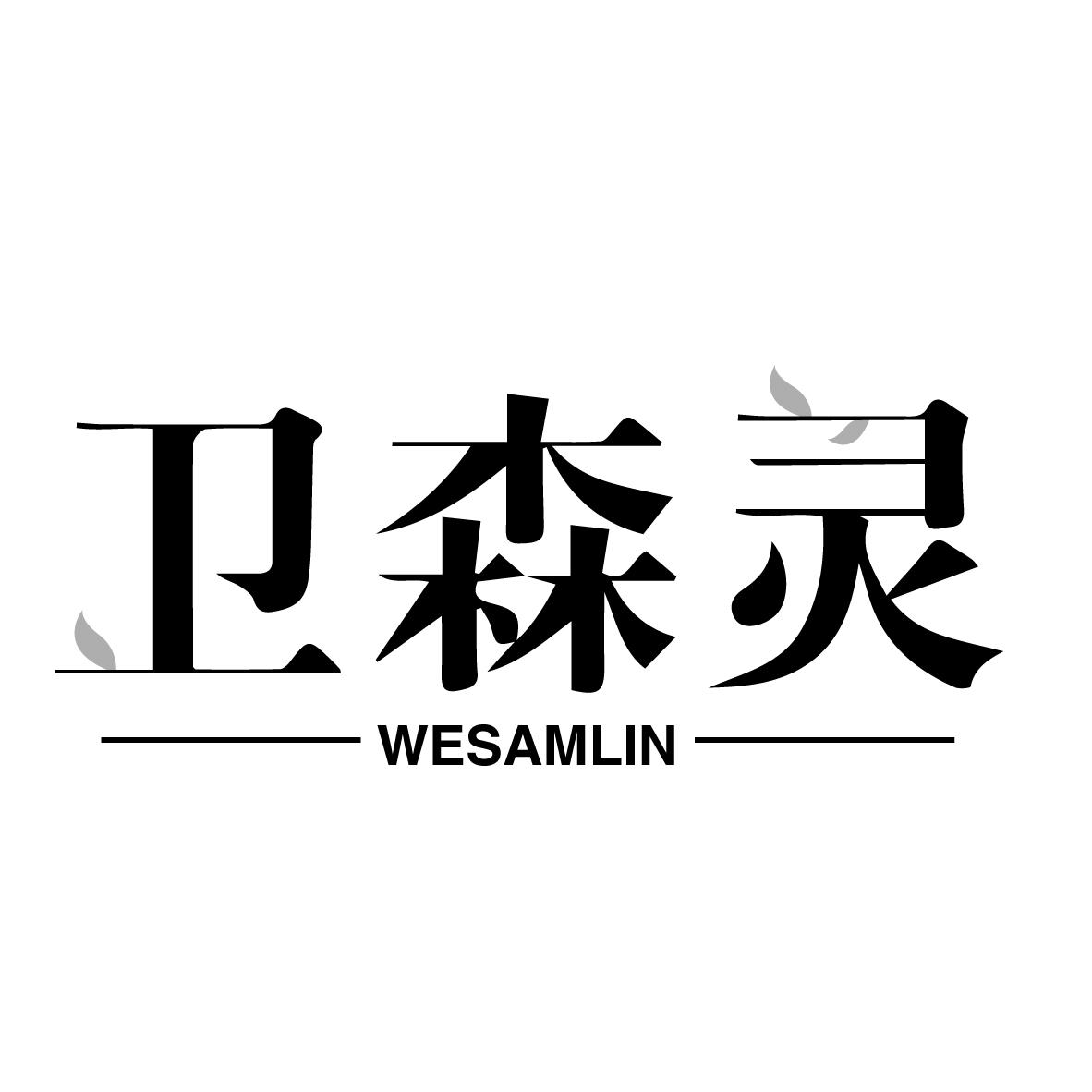 卫森灵 WESAMLIN