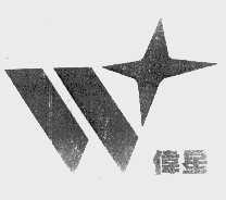 伟星
