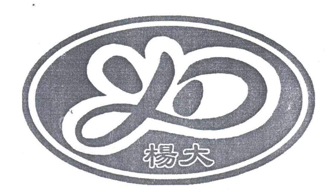 杨大;YD