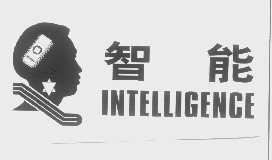 智能   INTELLIGENGE