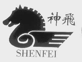 神飞