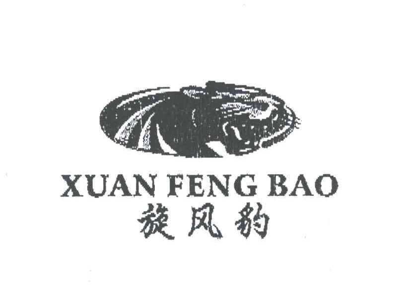旋风豹
