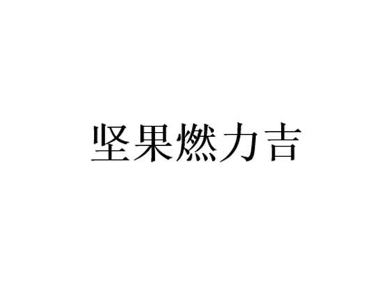 坚果燃力吉