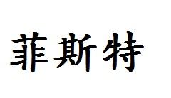 菲斯特