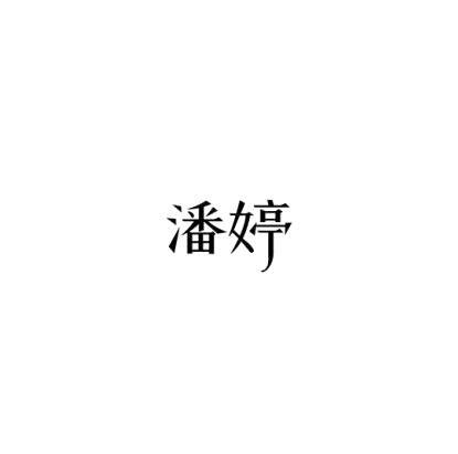 潘婷
