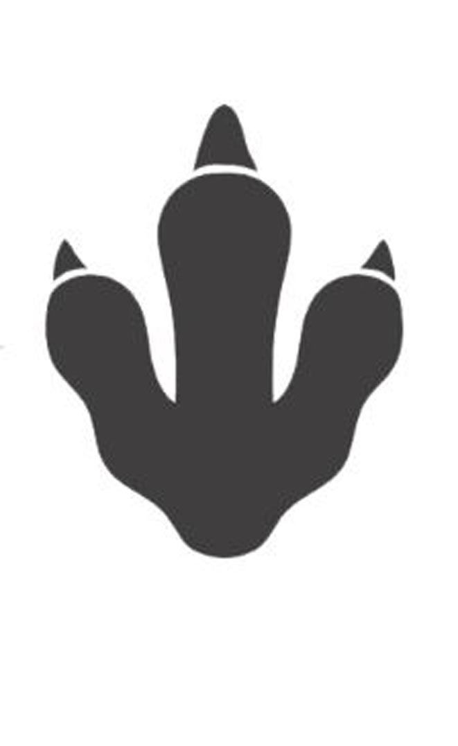 图形
