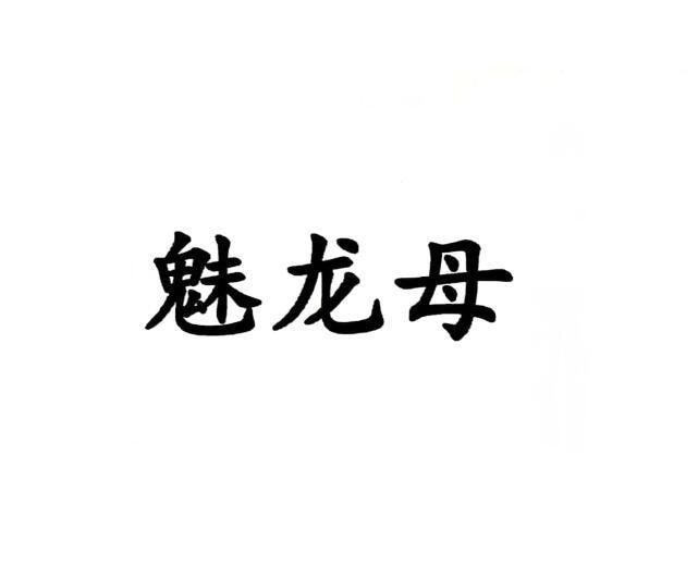 魅龙母