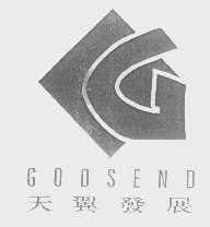 天翼发展