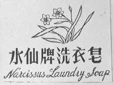 水仙
