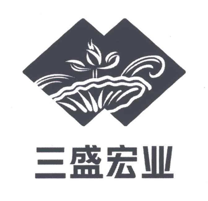 三盛宏业