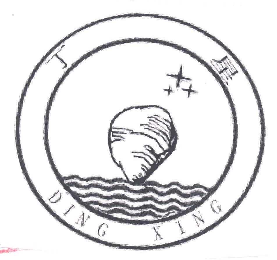 丁星
