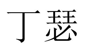 丁瑟
