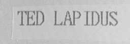 TED LAPIDUS