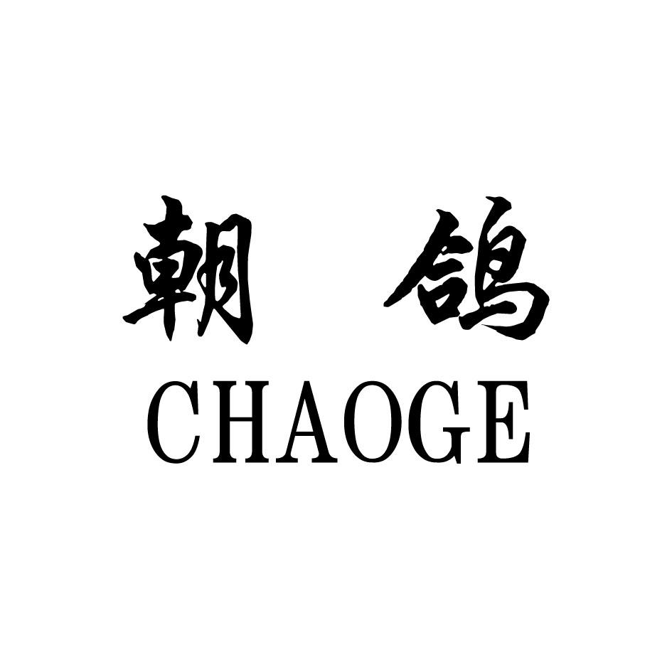 朝鸽