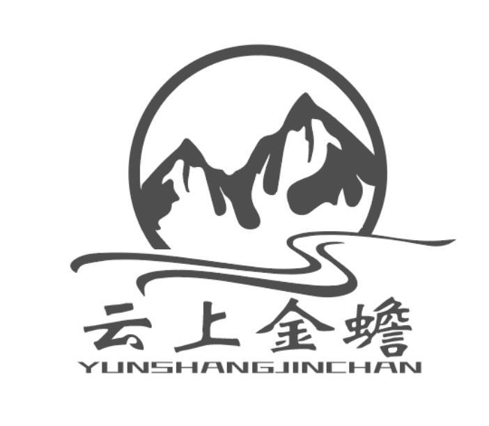 云上金蟾