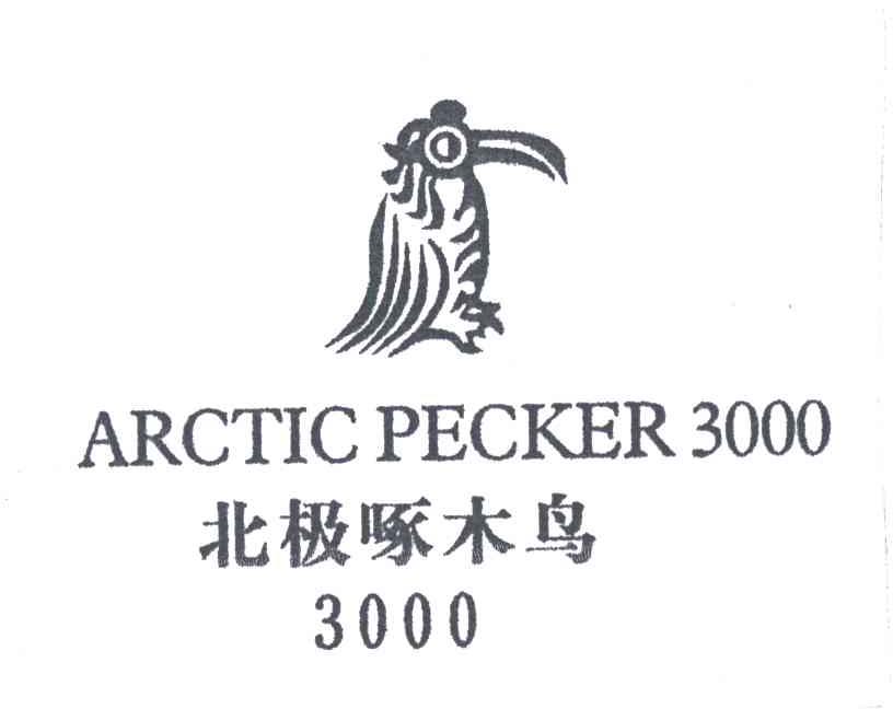 北极啄木鸟