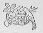 NEST