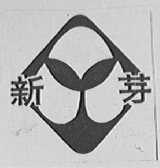 新芽