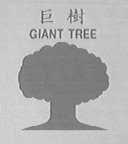 巨树    GIANT TREE