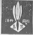 玉兰