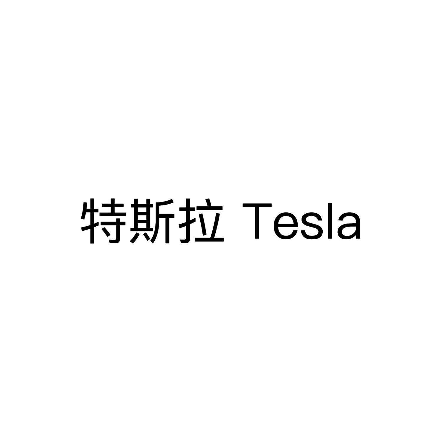 特斯拉  TESLA