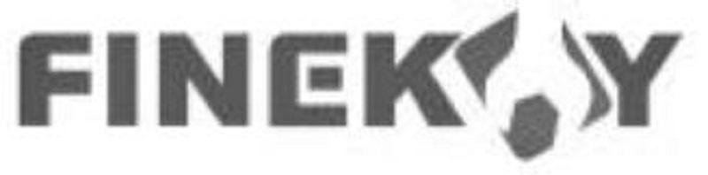 FINEK Y