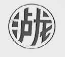 泸龙