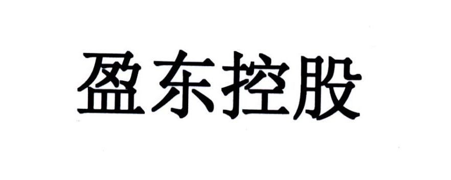 盈东控股