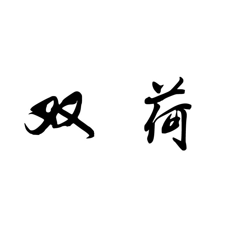 双荷