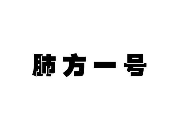 肺方一号