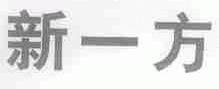 新一方