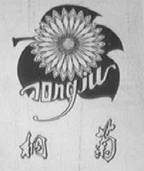 桐菊